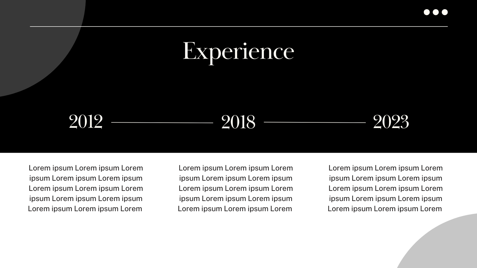 Professional Portfolio Website - Image 4